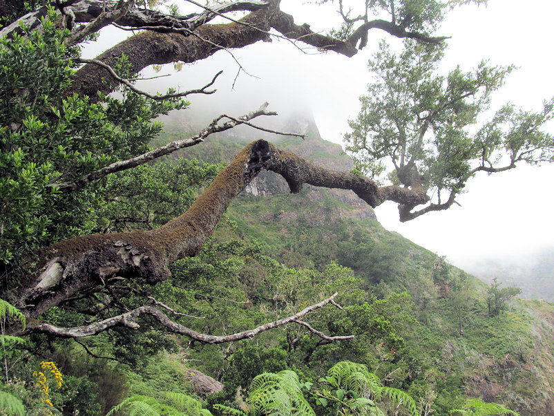 Dichter Nebel hat sich in der Nacht am Pass festgesetzt