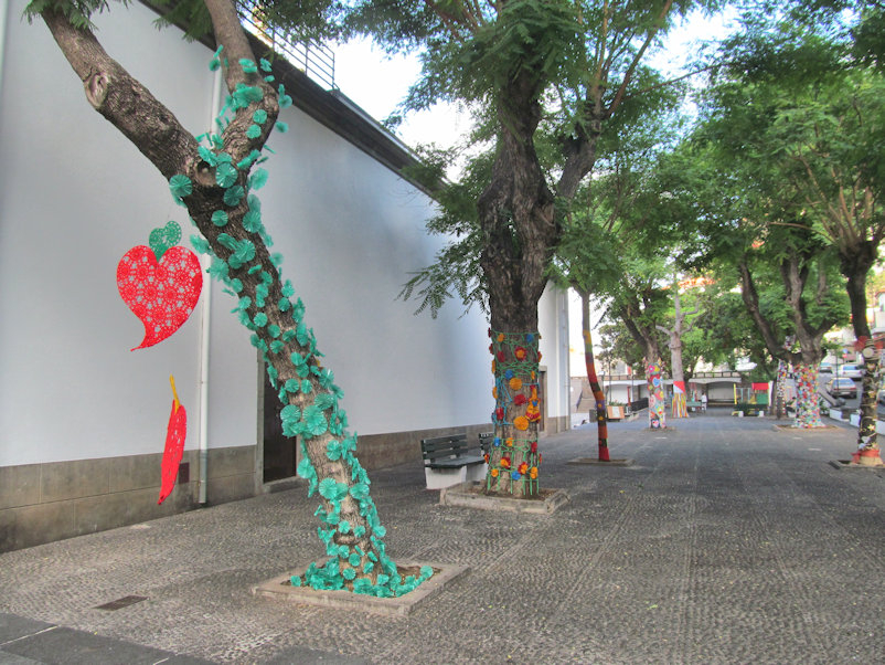Außergewöhnlich geschmückte Bäume an der Kirche in Ribeira Brave