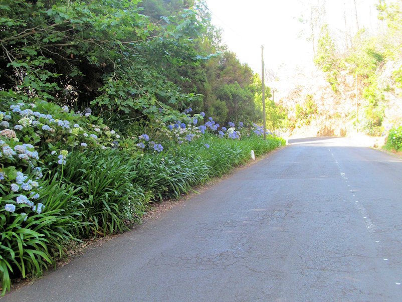 Die Passstraße führt nach oben