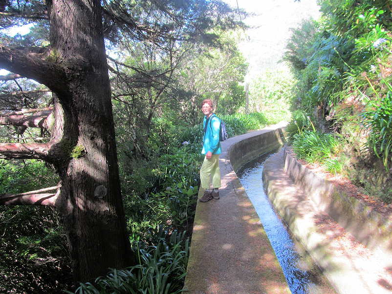 Madreira: Levada Do Norte